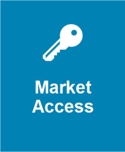 What We do Buttons 2015_0003_Market Access